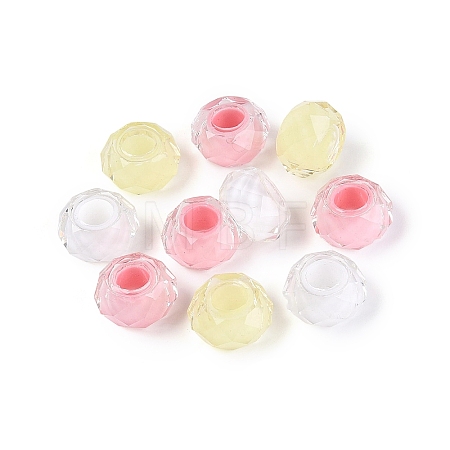 Resin European Beads RESI-Q236-01A-12-1