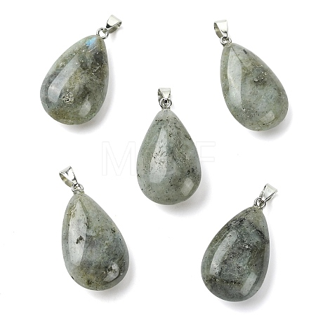 Natural Labradorite Pendants GG-K002-09Q-1