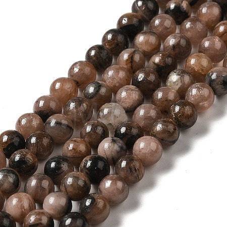Natural Chiastolite Beads Strands G-F729-02A-1