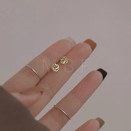Alloy Earrings for Women FS-WG98937-71-1