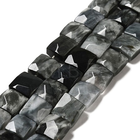 Natural Eagle Eye Stone Beads Strands G-G980-12-1