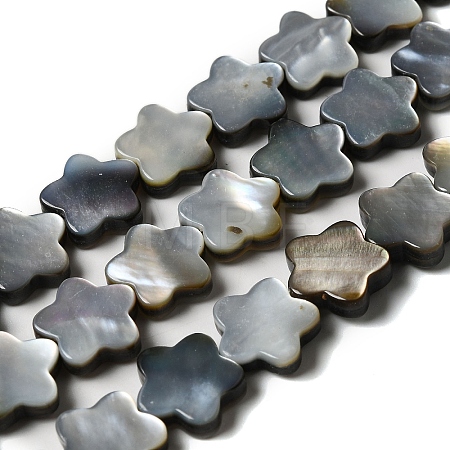 Natural Black Lip Shell Beads Strands SHEL-M021-02A-1
