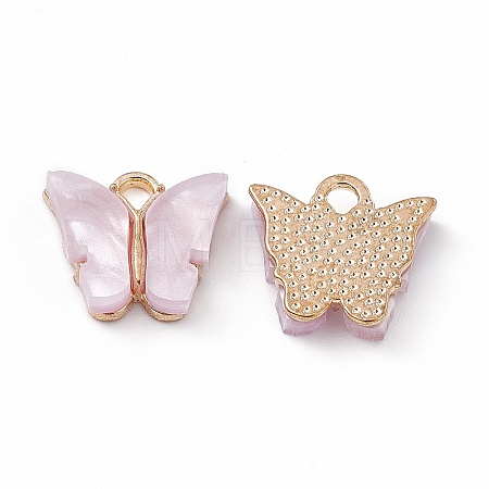 Acrylic Charms MACR-C012-01KCG-17-1