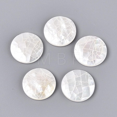 Natural White Shell Cabochons BSHE-T014-49-1