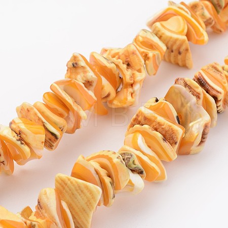 Natural Shell Bead Strands BSHE-P010-06-1