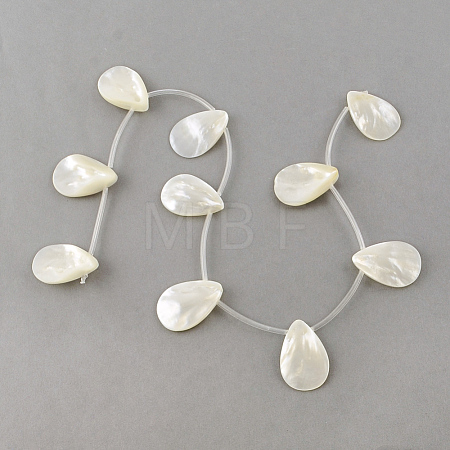 Natural Sea Shell Beads Strands X-SSHEL-Q296-01-1