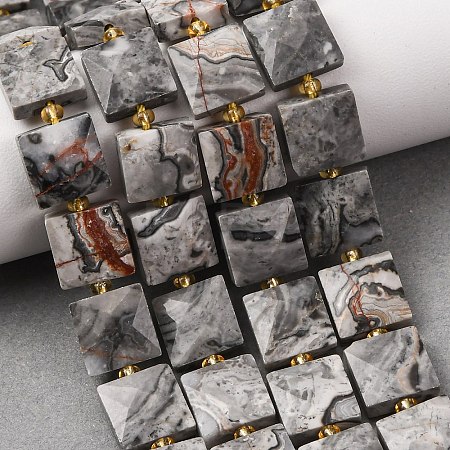 Natural Map Stone Beads Strands G-F839-A32-01-1