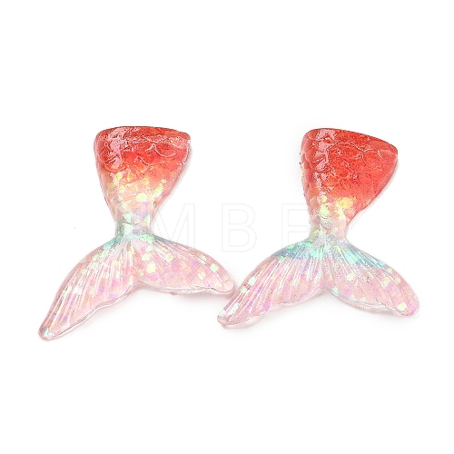 Resin Cabochons RESI-R456-02E-1