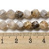 Natural Bamboo Leaf Agate Beads Strands G-NH0012-B02-01-5