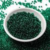 MIYUKI Round Rocailles Beads X-SEED-G008-RR0147-2