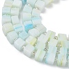 Handmade Lampwork Beads LAMP-B022-01R-3