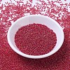 MIYUKI Round Rocailles Beads SEED-JP0008-RR0298-2