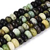 Natural Serpentine Beads Strands G-N367-02A-14-2