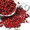 Baking Paint Glass Seed Beads SEED-A032-02A-09-1