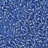 8/0 Glass Seed Beads SEED-A005-3mm-26-2