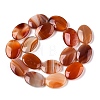 Natural Agate Dyed Beads Strands G-T138-200-2