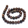 Natural Pietersite Beads Strands G-O201A-14C-2