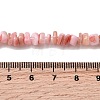 Natural Freshwater Shell Beads SHEL-B003-01N-4