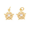 Brass Micro Pave Cubic Zirconia Pendants KK-C162-037C-G-1