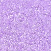 MIYUKI Delica Beads SEED-X0054-DB0248-3