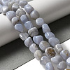 Natural Blue Lace Agate Beads Strands G-NH0017-B05-01-2