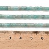 Natural Amazonite Beads Strands G-P608-A05-01-5