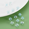 Transparent Acrylic Beads LS-MACR-S373-64-C04-6