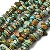Natural HuBei Turquoise Bead Strands G-H345-A01-04-2