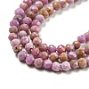 Natural Lepidolite/Purple Mica Stone Beads Strands G-NH0011-A01-03-4