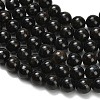 Natural Glaucophane Beads Strands G-L642-B03-6mm-3