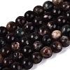Natural Biotite Beads Strands G-Q616-01A-2