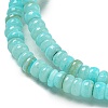 Dyed Natural Freshwater Shell Beads Strands X1-BSHE-G039-07C-3