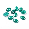 Natural Malachite Cabochons G-E557-03G-2