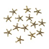 Tibetan Style Alloy Pendants TIBEP-EA306YKG-AG-LF-3