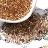 Transparent Baking Paint Glass Seed Beads SEED-P006-02B-14-1