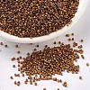 MIYUKI Delica Beads SEED-MY11-DB0505-1