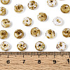 Picasso Glass Seed Beads SEED-N010-01A-4