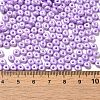 Baking Paint Luster Glass Seed Beads SEED-B001-04A-09-4