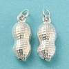 925 Sterling Silver Pendants STER-B002-12S-2