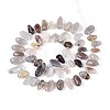 Natural Botswana Agate Beads Strands G-Z091-A30-2