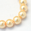 Baking Painted Pearlized Glass Pearl Round Bead Strands HY-Q003-10mm-61-2