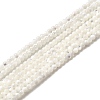 Natural White Shell Beads G-N0190-11-2mm-2
