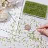 100G Glass Seed Beads SEED-SP0001-11C-3
