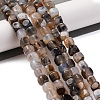 Natural Dragon Veins Agate Beads Strands G-G177-E09-01-2