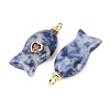 Natural Blue Spot Jasper Pendants G-Z134-06G-05-2