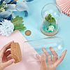 Glass Dome Cover LS-AJEW-WH0505-27-3