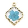 Alloy Epoxy Resin Pendants AL-Z001-08G-02-1