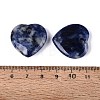 Natural Sodalite Pendants G-Q601-29B-3