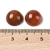 Natural Red Agate Cabochons G-B082-07C-02-3