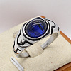 316L Surgical Stainless Steel and Synthetic Gemstone Finger Rings for Men FS-WG3E90C-10-1